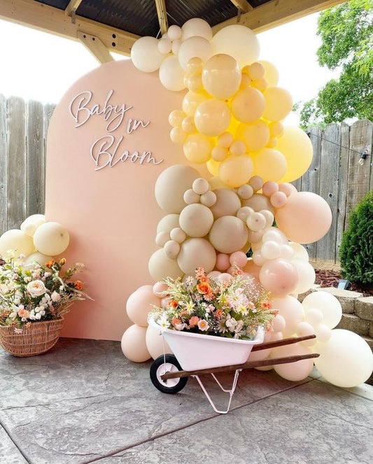 Backdrop with Ballon Garland